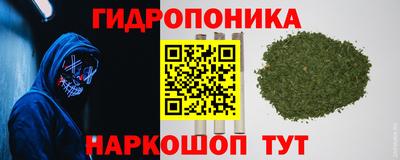 мяу мяу мука Славгород