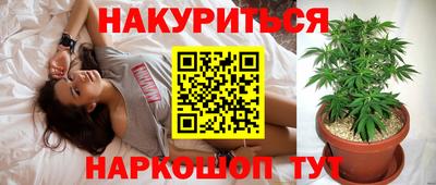 мяу мяу мука Славгород