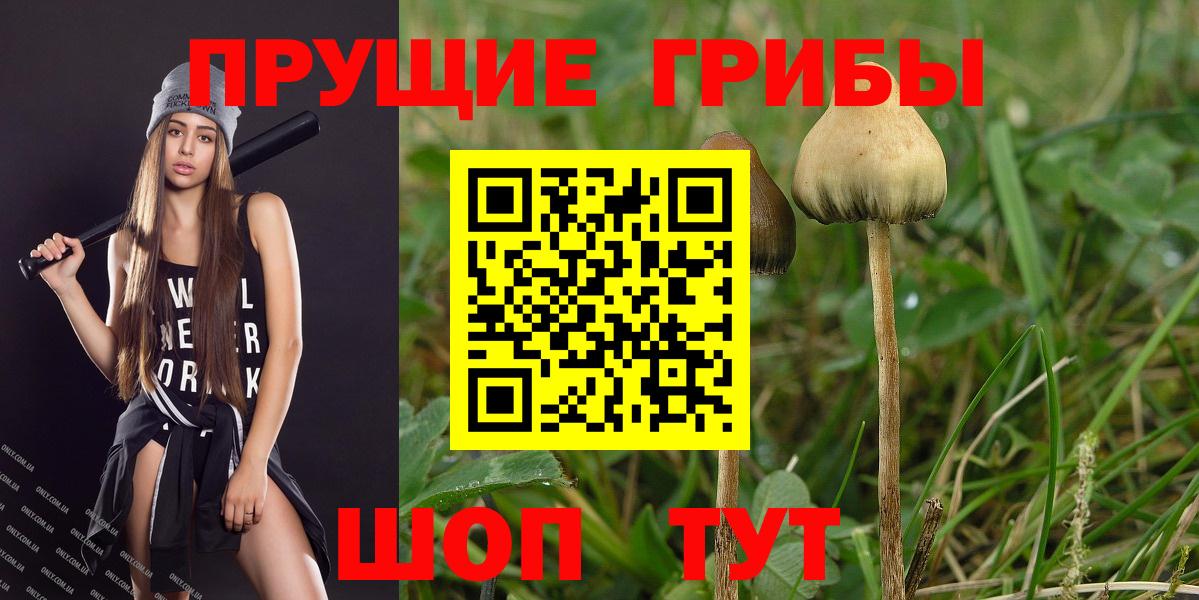 Симферополь  Галлюциногенные грибы MAGIC MUSHROOMS  Вход с VPN 